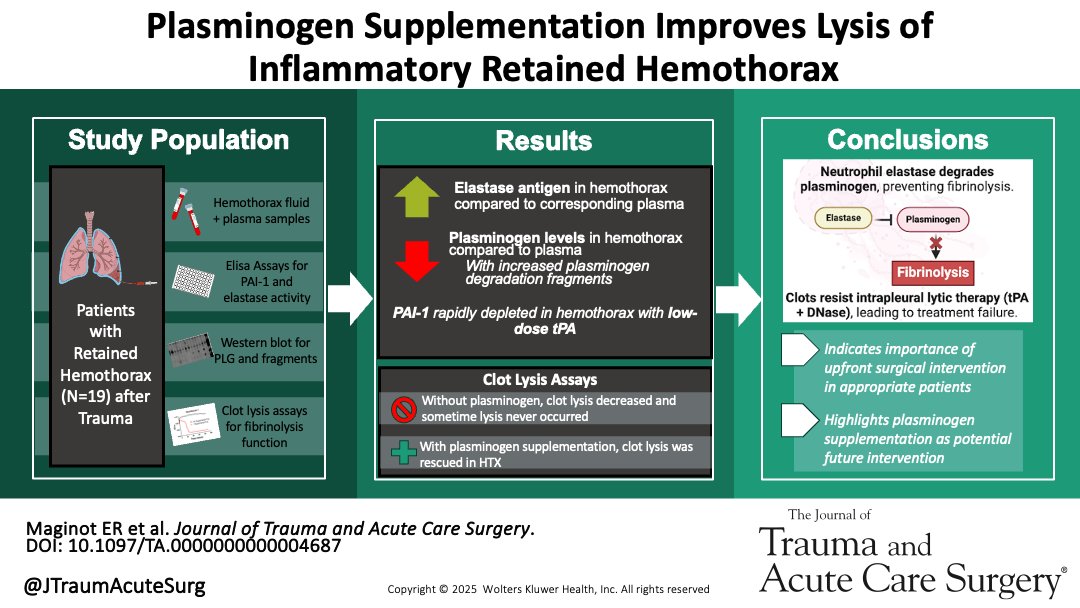 JTraumAcuteSurg's tweet photo. ❇️Best of Basic Sciences❇️

"Plasminogen supplementation improves lysis of inflammatory retained traumatic hemothorax"

Retained HTX leads to local fibrinolysis resistance driven by neutrophil elastase-mediated plasminogen degradation rather than PAI-1 inhibition. This study advocates for upfront surgical intervention and further investigation into plasminogen supplementation as therapeutic option.

@e_magination95 @ChrisBarrettMD #UNMCSurgery

https://t.co/ZFyXgJBBAT
