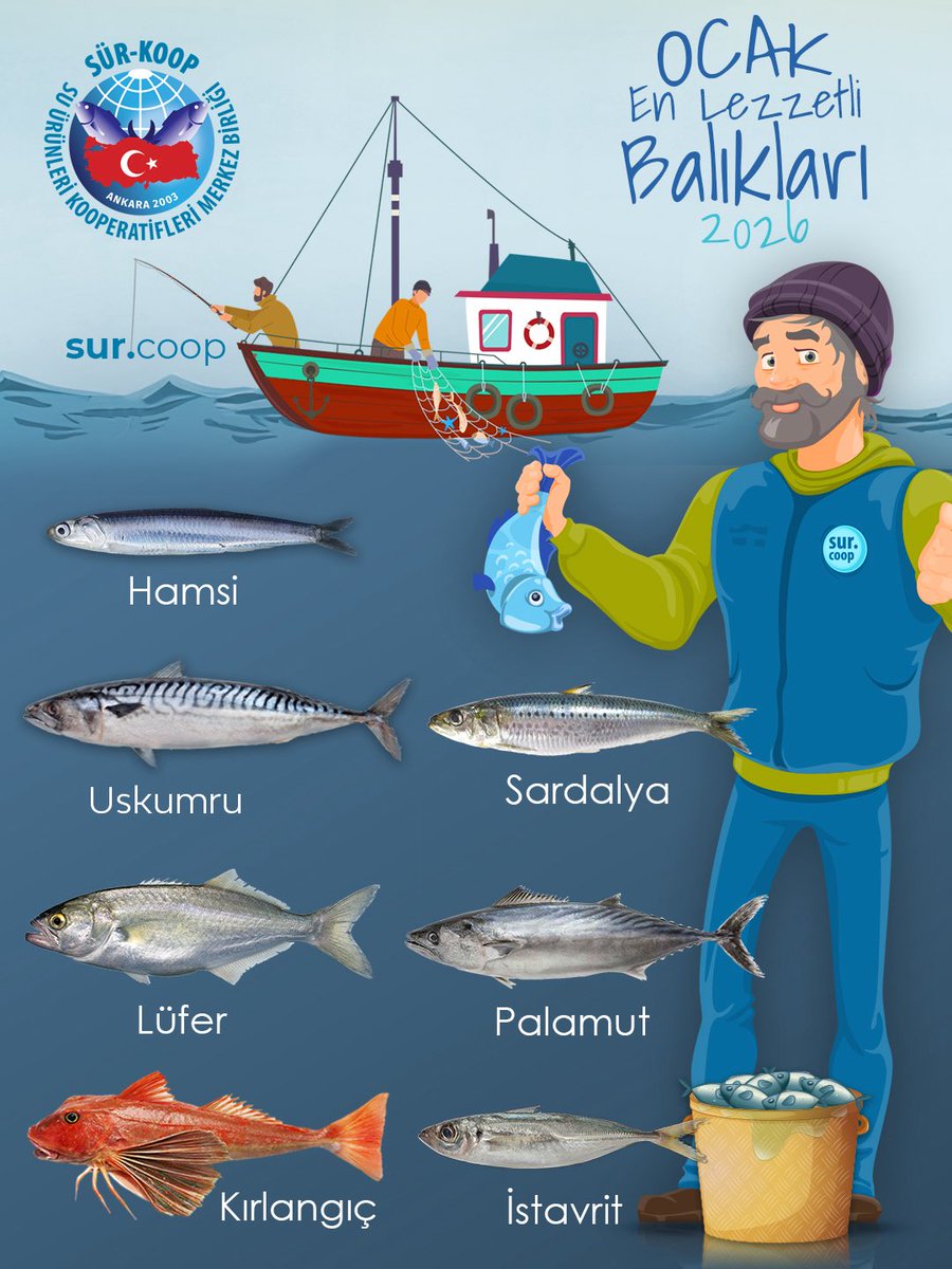 Ocak ayının en lezzetli balıkları 🐟🍽️🐟
.
.
.
.
.
.
.
.
#balık #bakıkçılık #bugünneyapsak #bugunnepişirsem #hangibalık #suürünleri #sezon #balıkçılıksezonu #suürünlerimühendisliği #barbun #sürkoop