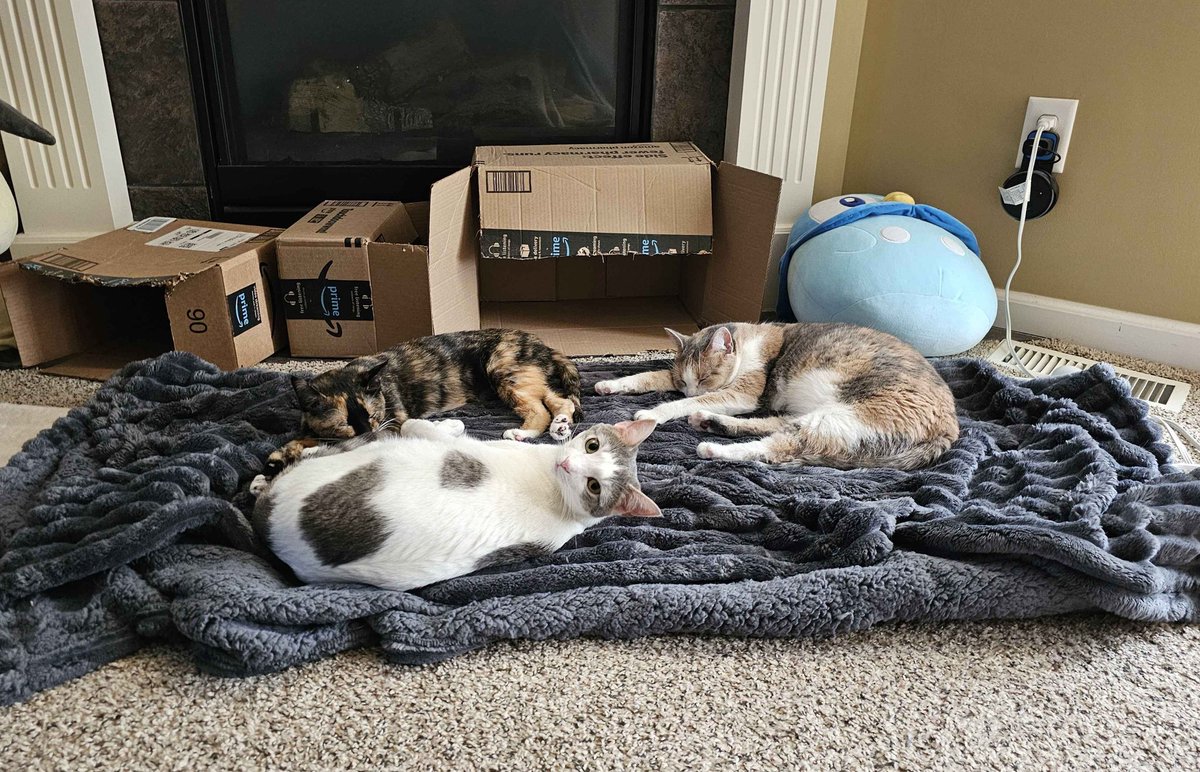 🏳️‍⚧️Cora Kennedy📸 tweet media