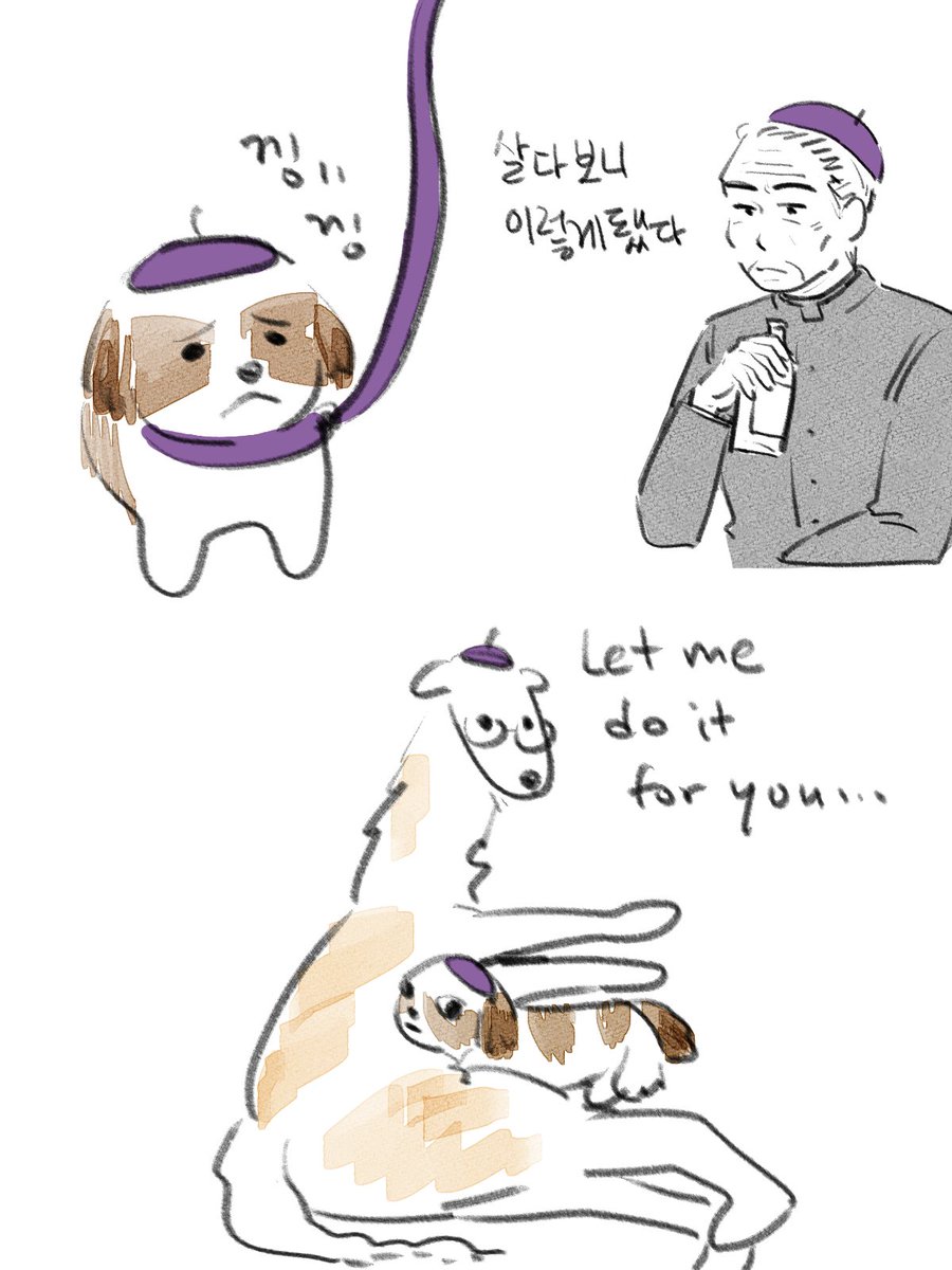 BOM_cclv's tweet image. 시츄 야누시와 보르조이 레이