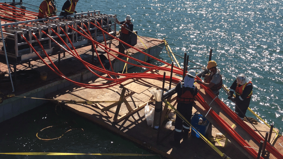 Baltic Sea alert: a subsea telecom cable between Lithuania and Latvia was damaged. While a vessel was boarded, investigators claim they have not yet discovered any connection. The probe remains open.

What should change first: monitoring, routing rules, or repair readiness?