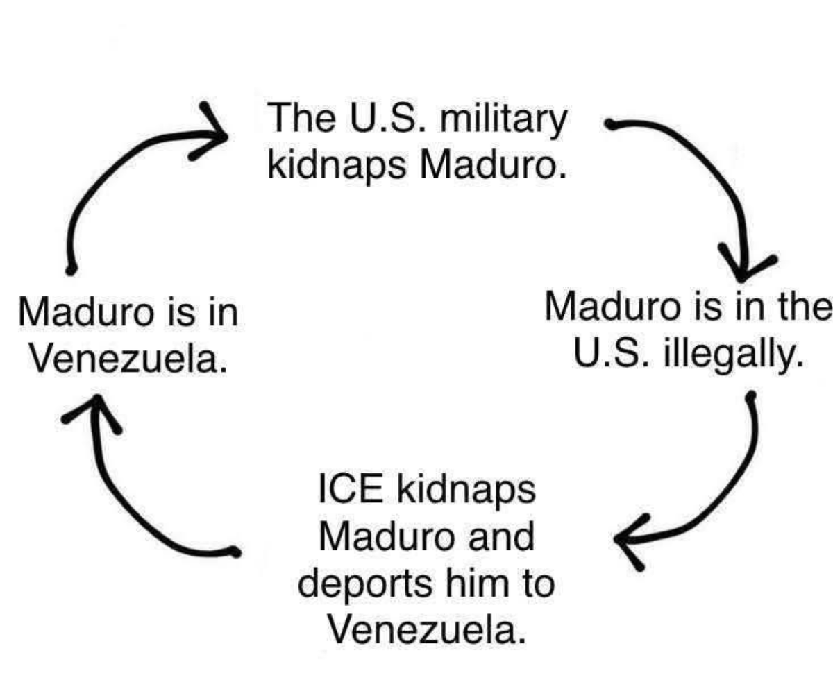 Not the Bee (@not_the_bee) on Twitter photo 