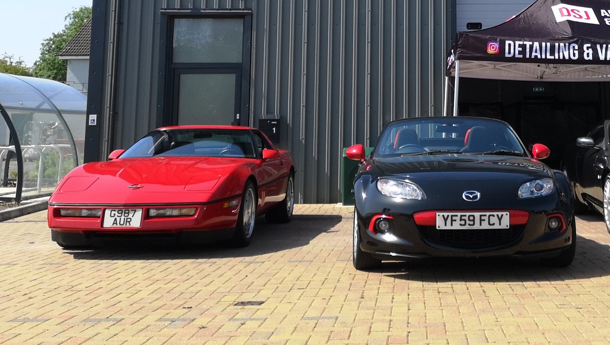 Lewis Kingston tweet media