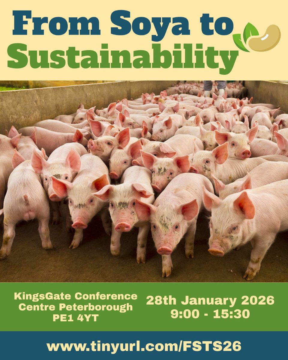 The NCS Project tweet media