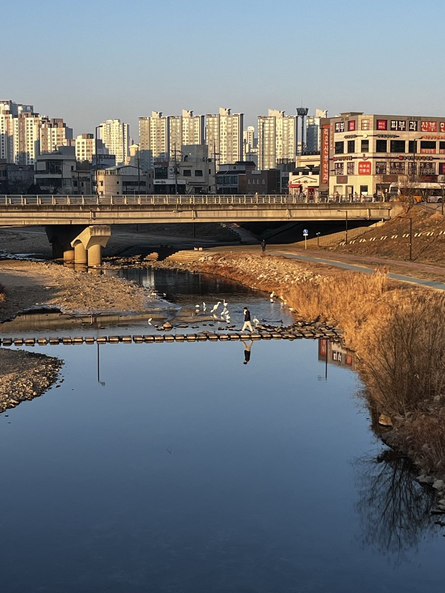 째깐둥이 아커만 (@3pyaa) on Twitter photo 