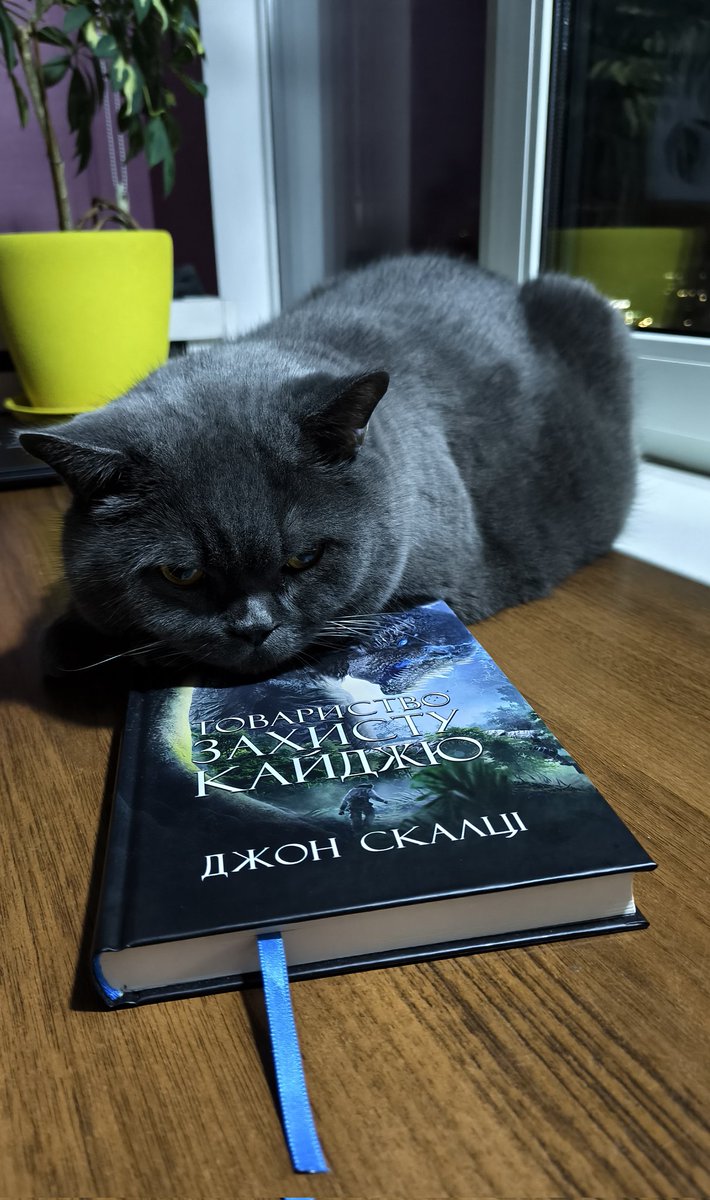 Поки не читаю я, книга служить для іншого