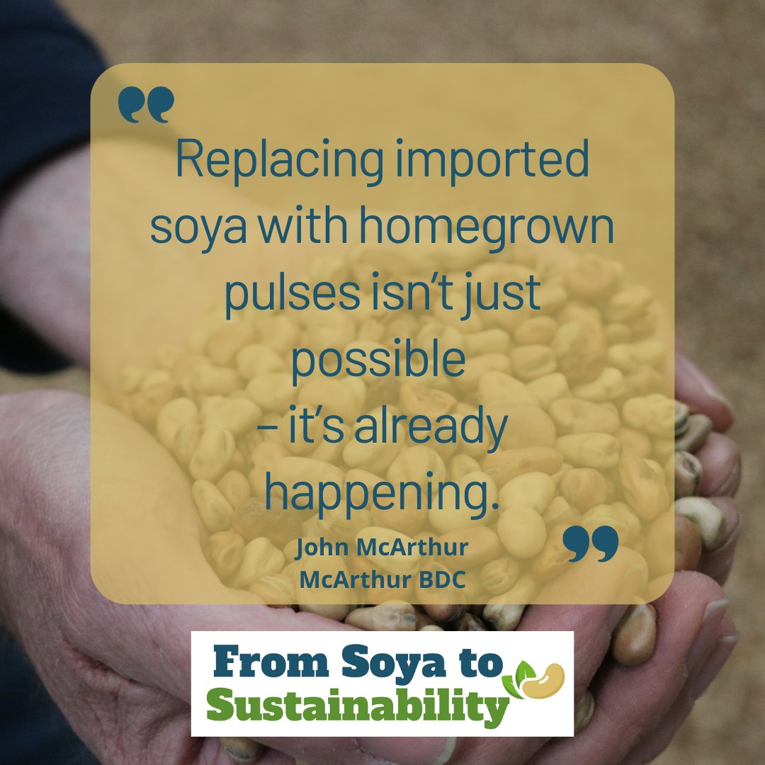 The NCS Project tweet media