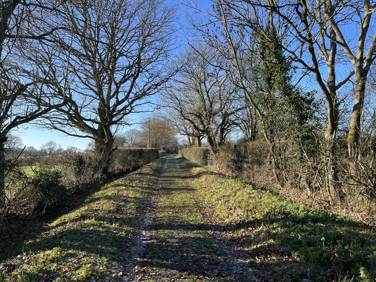 Crohnoid's tweet photo. Glorious day for taking #Houdi for a walk albeit rather cold. Not a cloud in the sky! https://t.co/MUQUHmxtZl