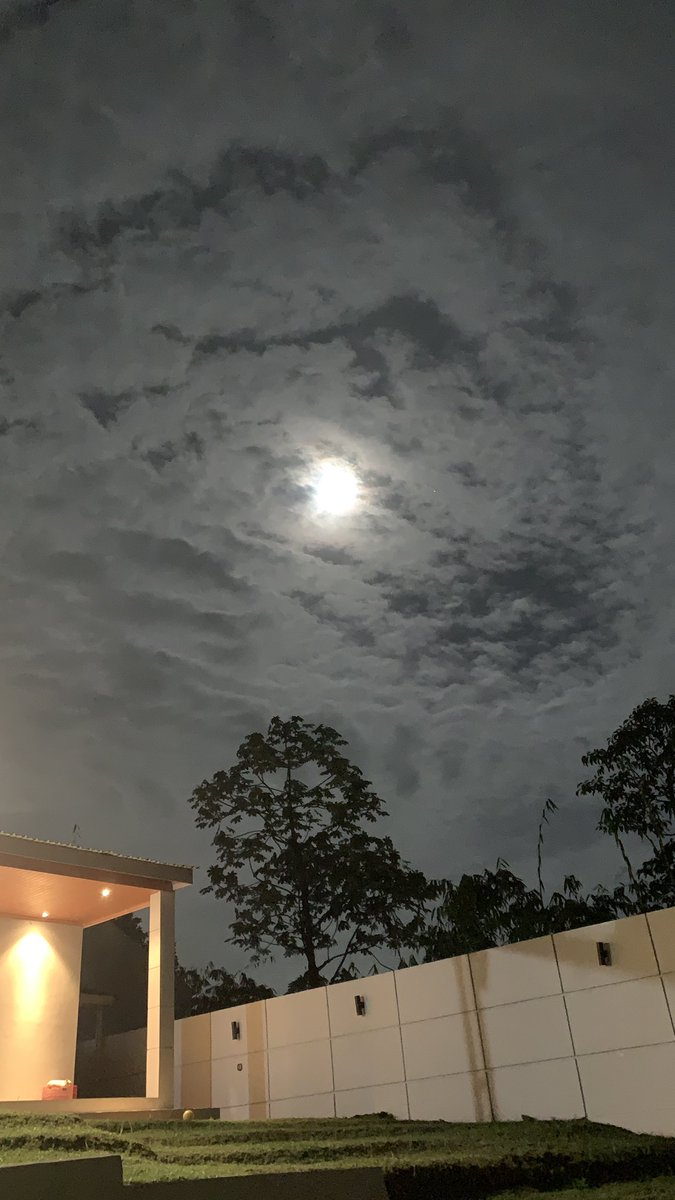 spiclessdkit's tweet image. What’s happening rn????!