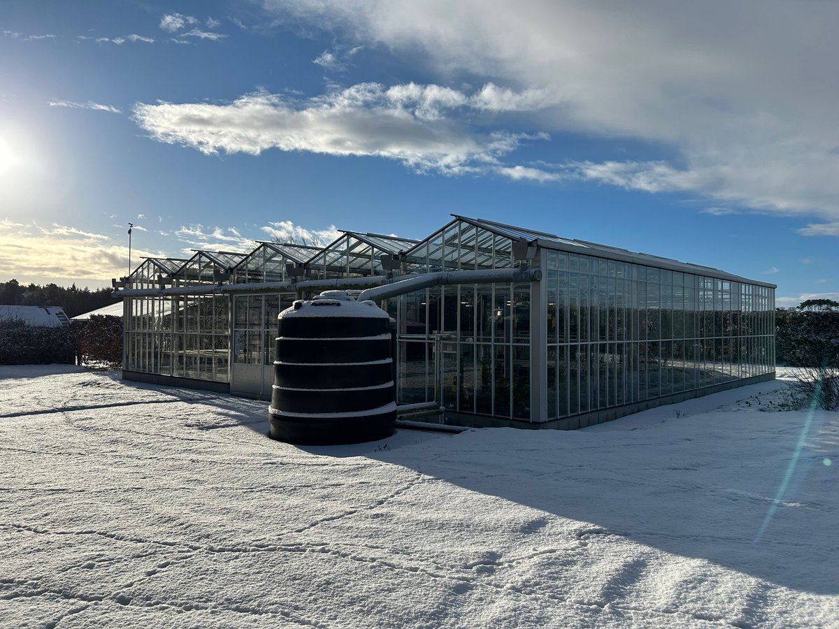 NU Farms tweet media