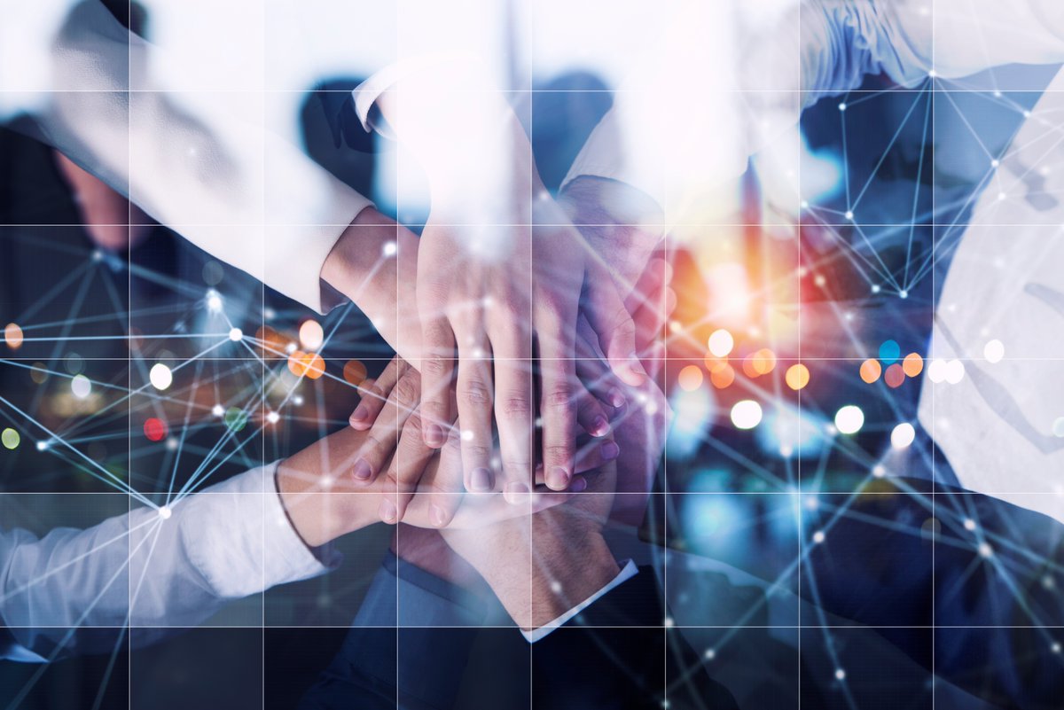 Rogue Tulips LLC tweet media