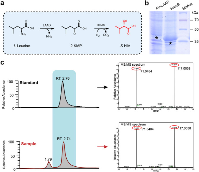 BioDesign Research tweet media