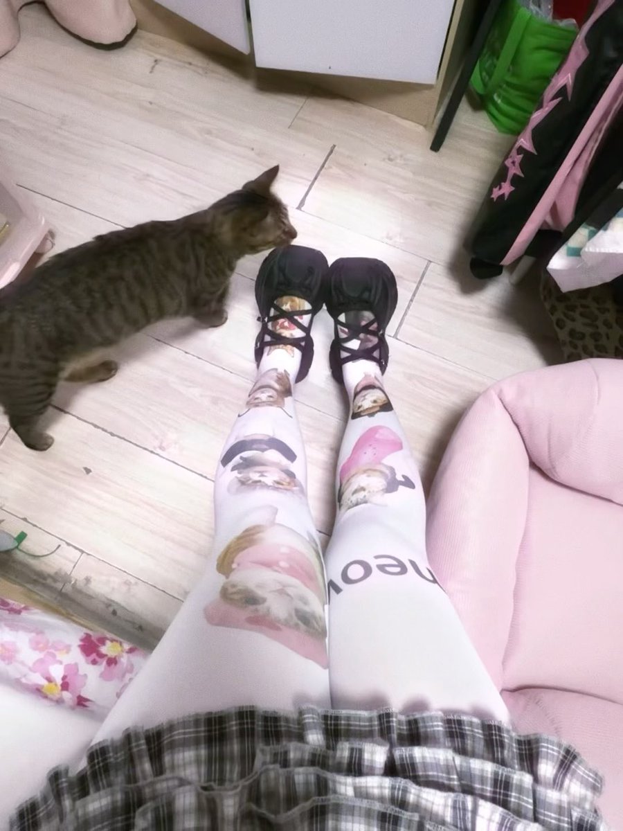 dingingcingking's tweet image. 萌神降临