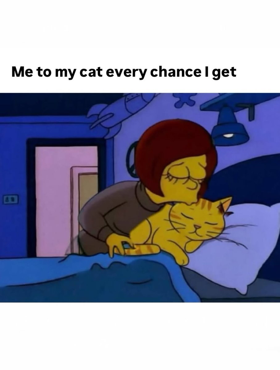 catsareblessing's tweet image. 