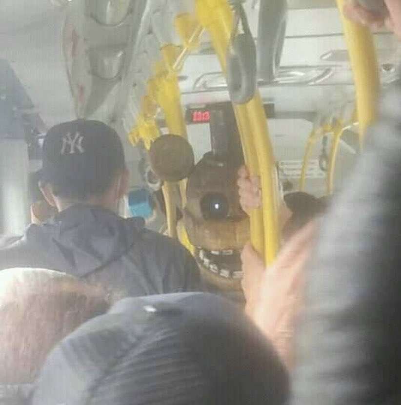 insaneposes's tweet image. 