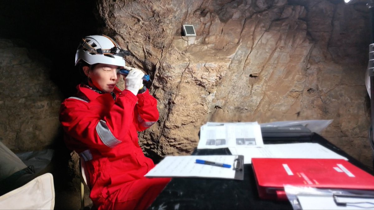 wulei2020's tweet photo. Can you recognize which Chinese astronauts have participated in this #cavetraining?
Designed to simulate isolation and extreme environments, this training pushed taikonauts to their limits. (1/3) https://t.co/xBW9qLE4Ae