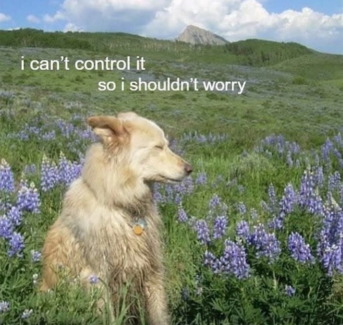 artistryhere's tweet image. 