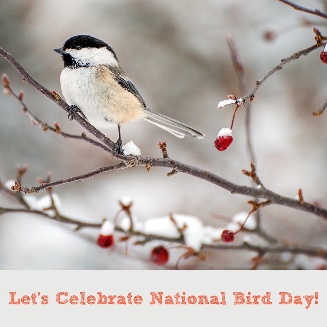 Ecosource tweet media