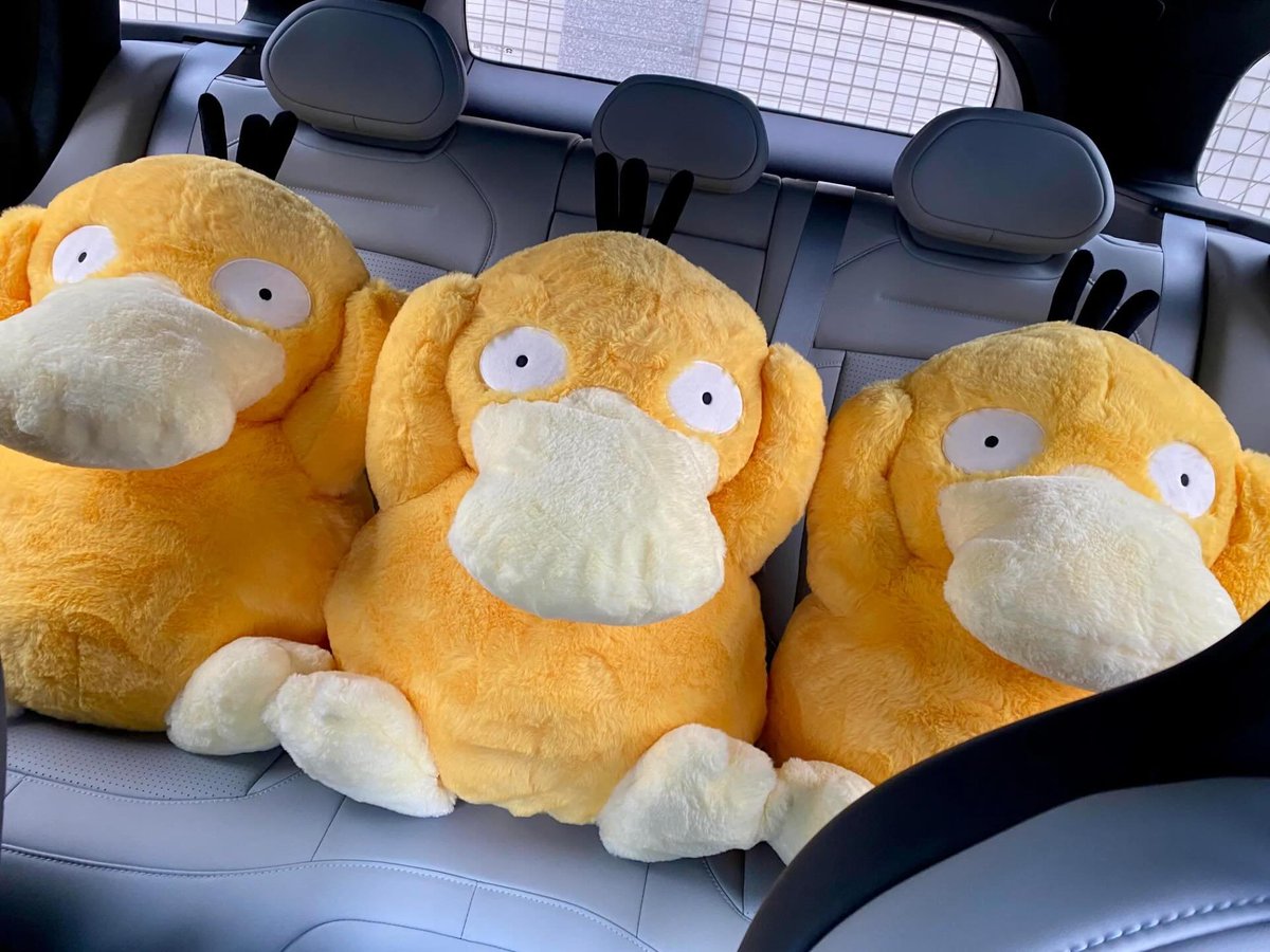 혼자 운전하는거 무서운 사람 팁

이렇게 하면 안 무서움