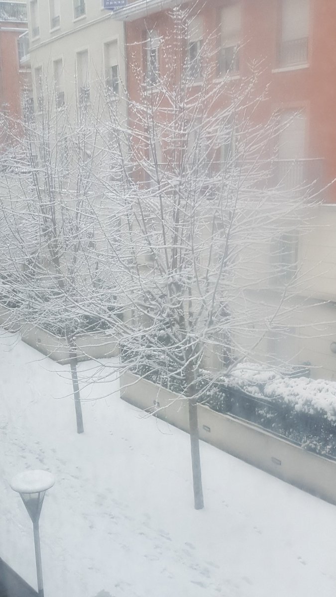 AnthonnyRD.🇫🇷 Pup-Strayd Kïnko- tweet media