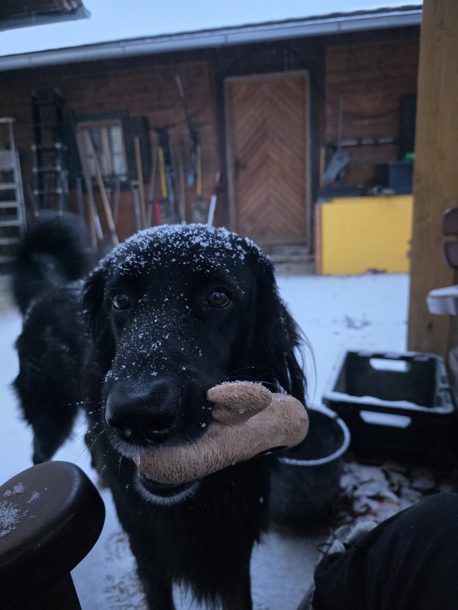 xFayeFaye Tina (@rockafaye) on Twitter photo 