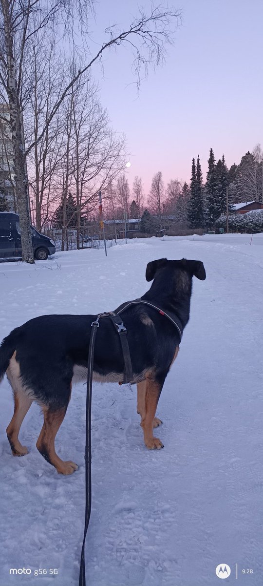 Tänään ei olla kuin piipahdettu ulkona asiat hoitamassa.