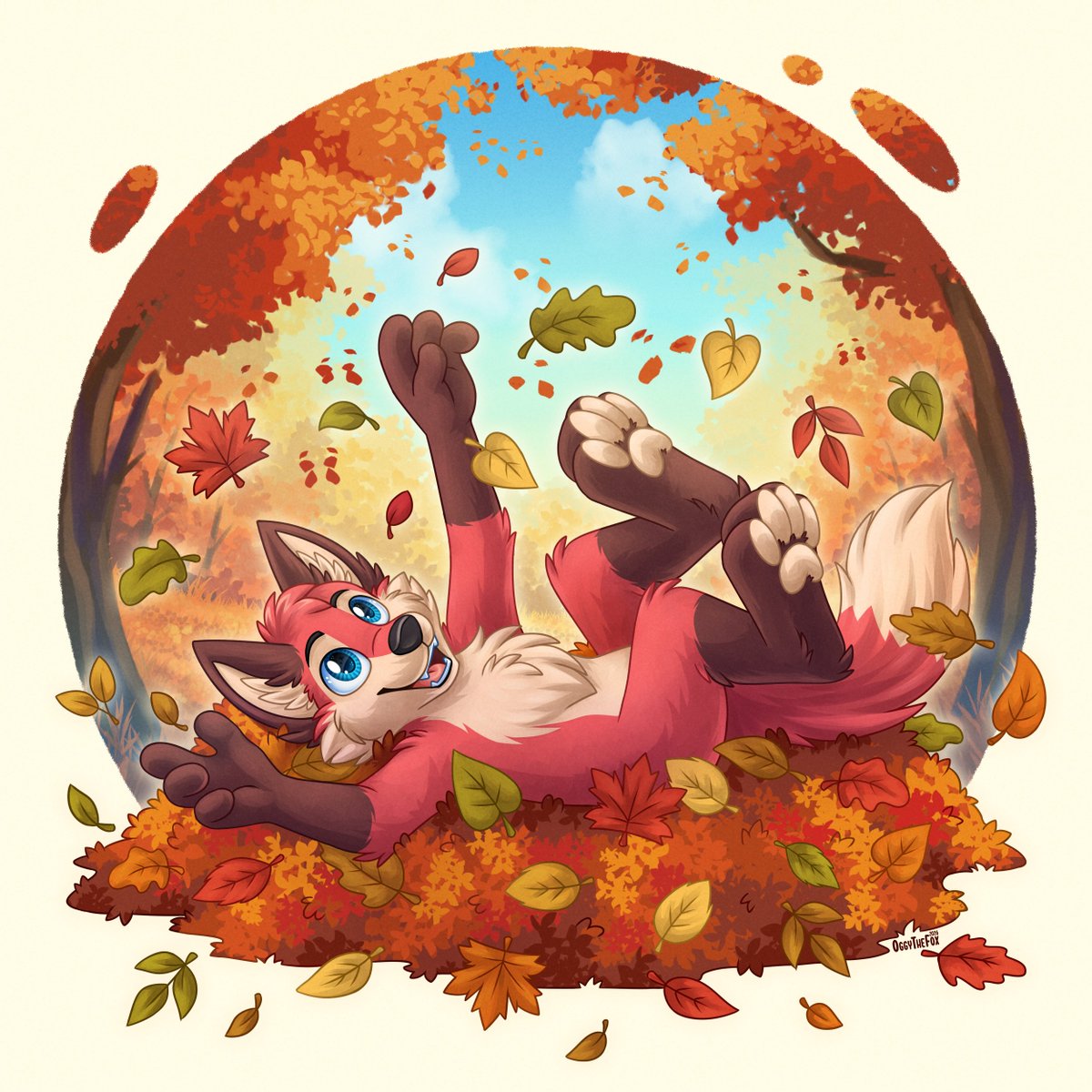 Oggy123🦊OggyTheFox tweet media