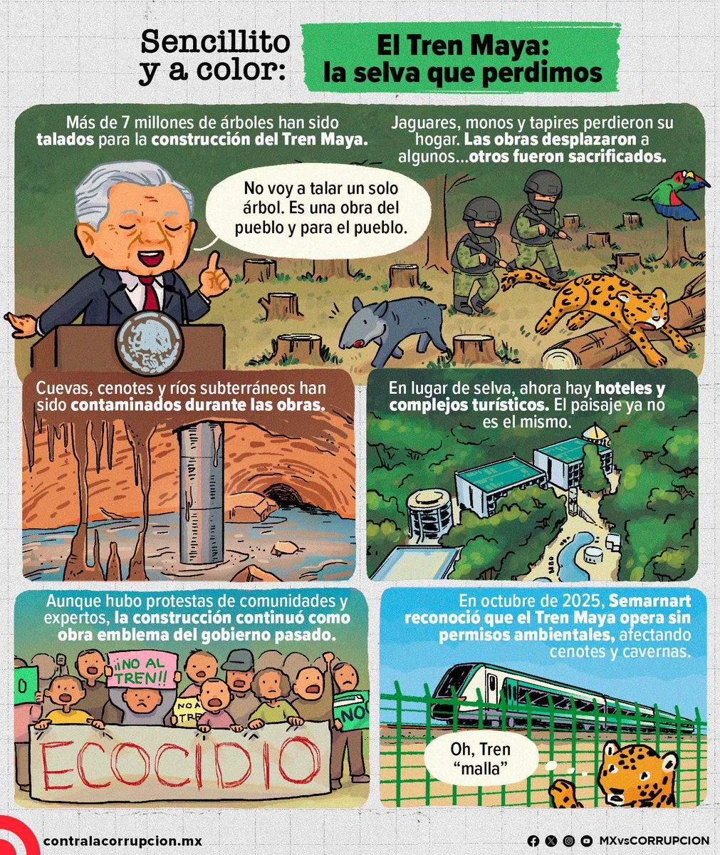 MXvsCORRUPCION's tweet photo. 🌳💔 #Entérate El Tren Maya avanzó a costa de millones de árboles y animales. 
Selva, jaguares, monos y aves fueron desplazados por las vías. 🐾 Te lo explicamos sencillito y a color 🌿🎨 https://t.co/p9t87gcnlo https://t.co/uFfIuYpcQs