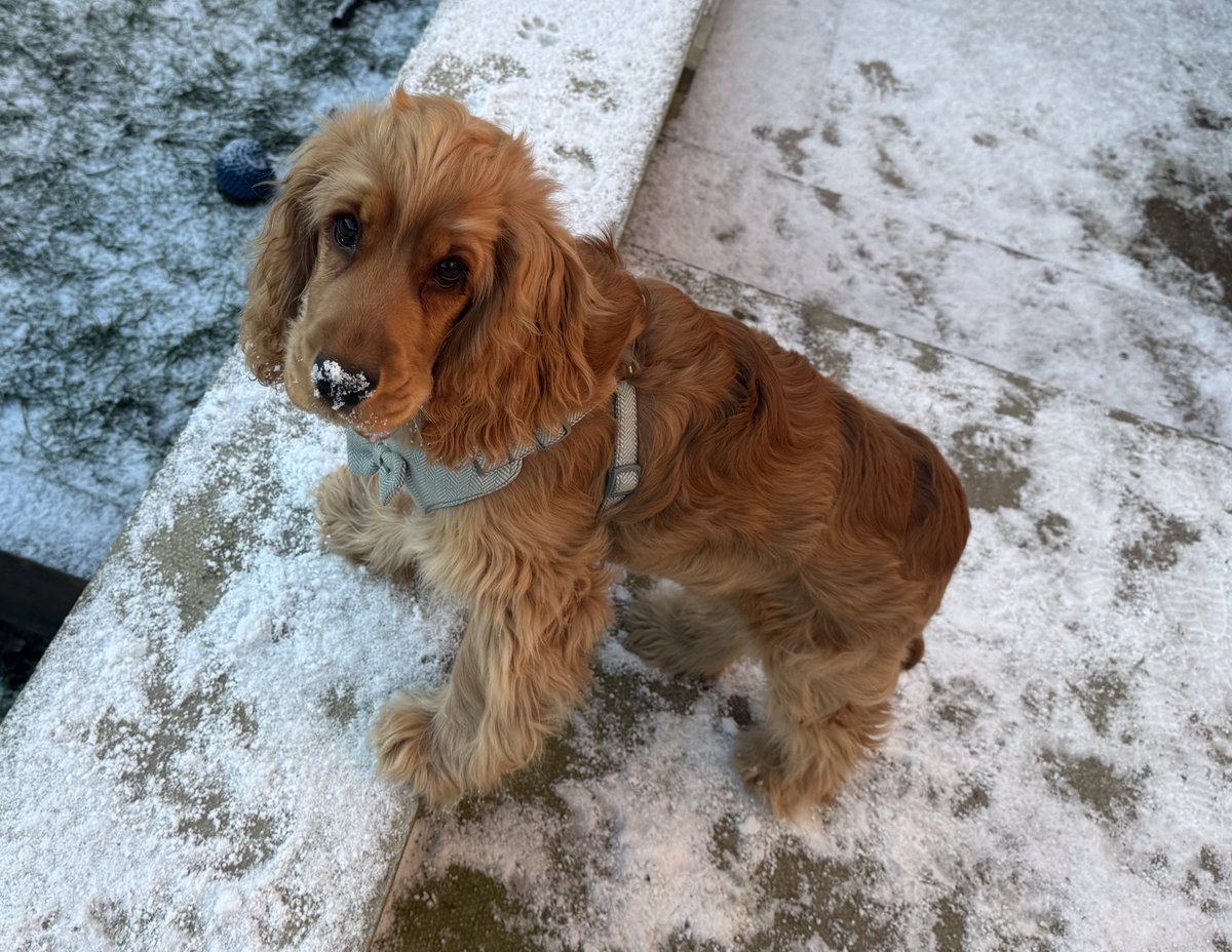 OnlyStringy's tweet image. I *really* hope that’s snow and he’s not on the marching powder.