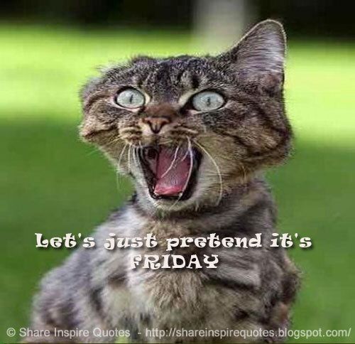 Let's just pretend it's Friday.

#FridayFeeling #WeekendVibes #FunQuotes #Motivation #HappyDay #PositiveThinking #Humor #Quotes #ShareInspireQuotes
