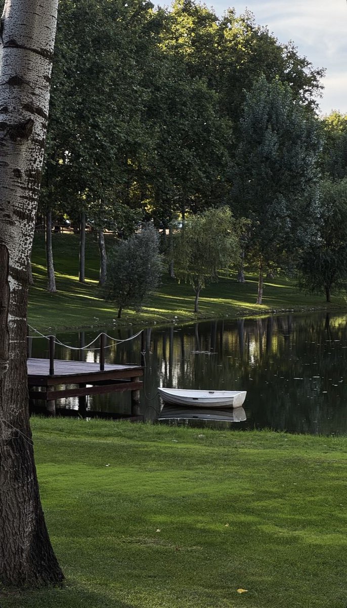 adonispara's tweet photo. The countryside’s greatest luxury is silence https://t.co/vqQKQEWYh8