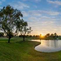 BASF Better Turf UK tweet media