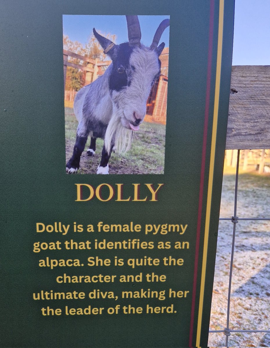 Venetia Hall tweet media