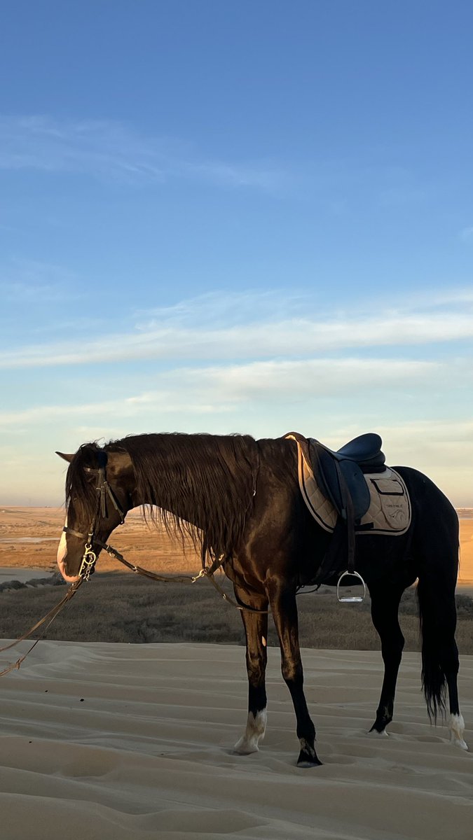 Notma10_'s tweet image. 🌅❤️