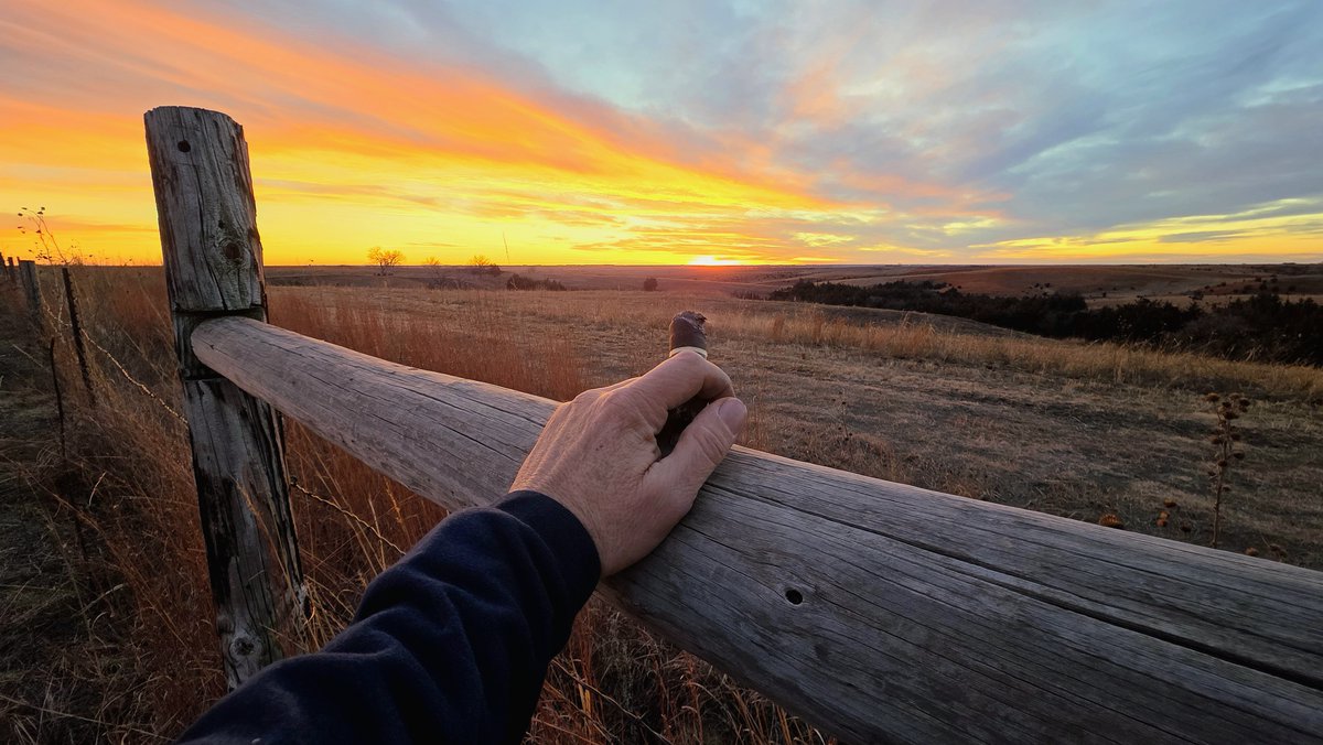 Conservation Blueprint tweet media