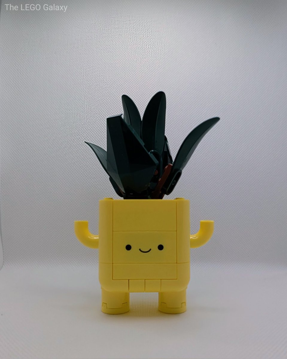 A better look at the completed "Happy Plants" set (10349). This little set is fun and makes me smile.
#LEGO #AFOL #Toys #LEGOLife #Plants