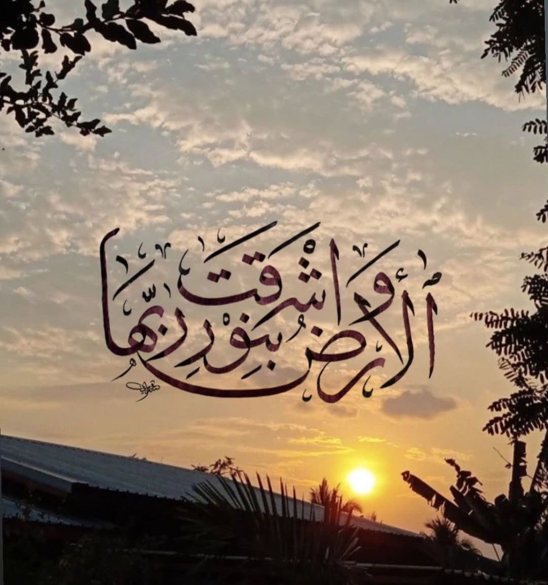 لن يَفْهَمُكَ .. إِلَّا مَنْ أَشْرَقَ فِيهِ ..  مَا أَشْرَقَ فِيك..
التبريزي 

(وَنَزَعْنَا مَا فِى صُدُورِهِم مِّنْ غِلٍّ إِخْوَٰنًا عَلَىٰ سُرُرٍۢ مُّتَقَٰبِلِينَ)
