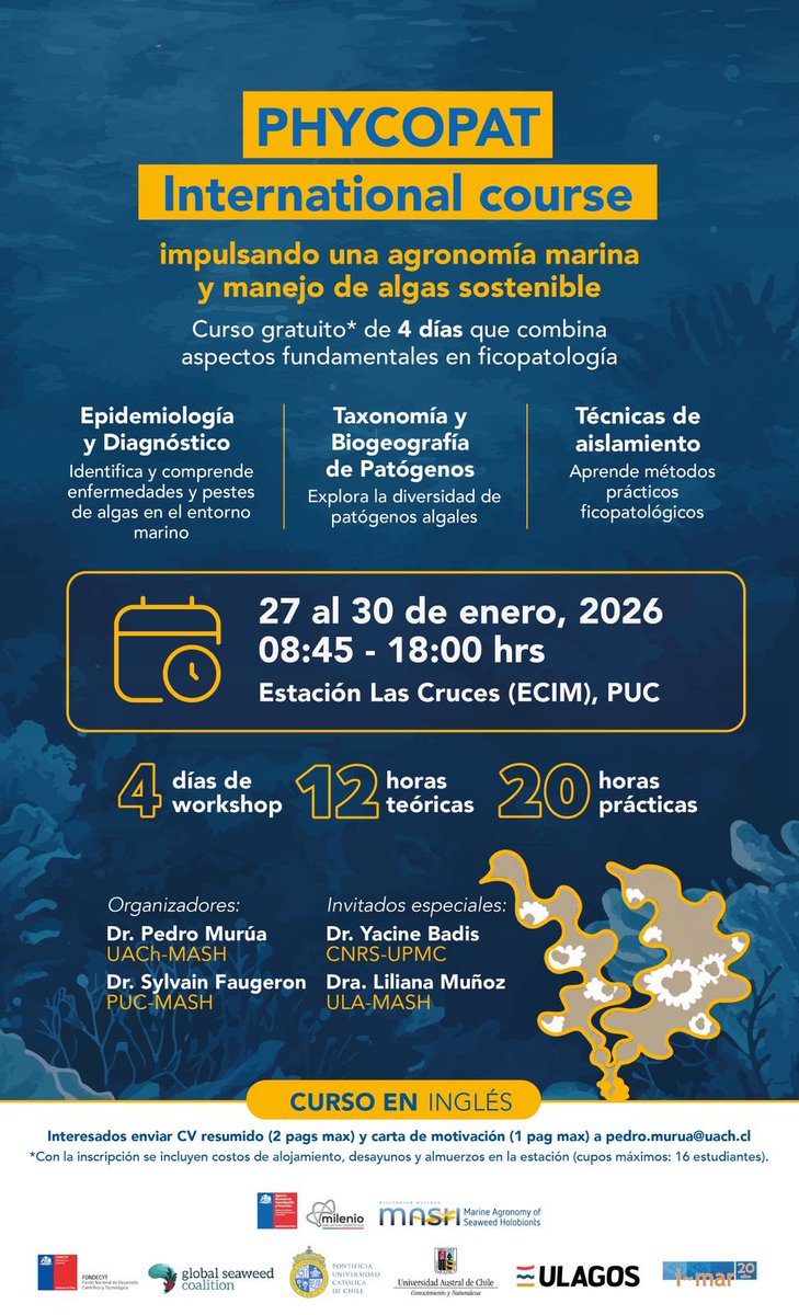 Pedro Murúa tweet media