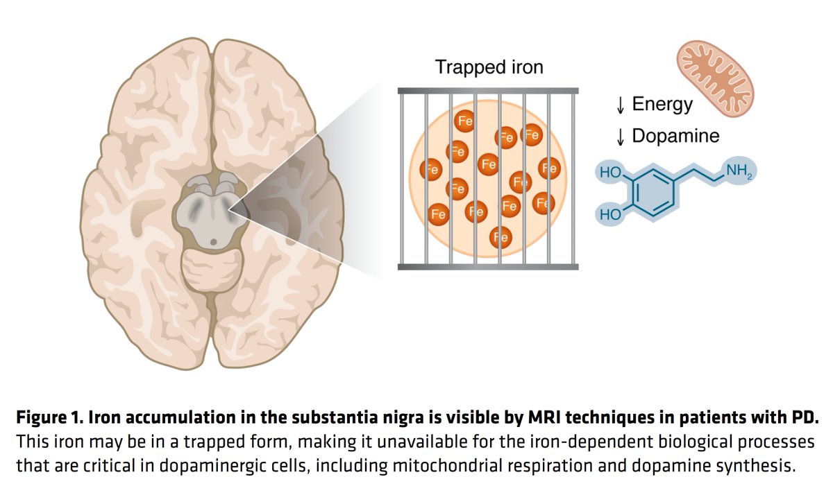 Eric Topol tweet media