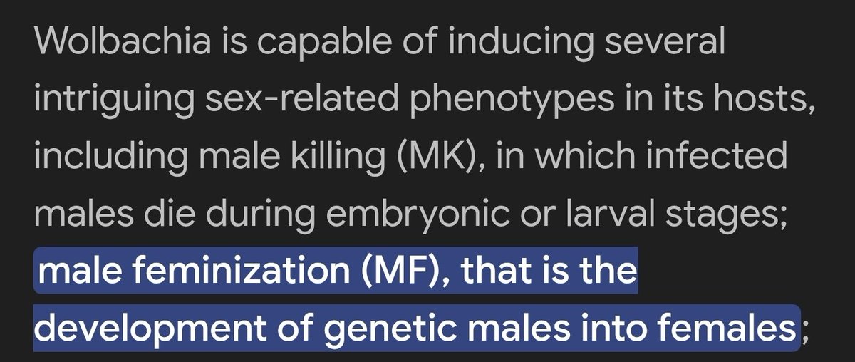 MothHeaven_'s tweet image. I dont usually respond to posts like these but theres something I wanna share for the 🏳️‍⚧️ gang that I thought was insanely cool

There is a bacteria called "Wolbachia" which has been turning so many male moths female that it became a problem to the ecosystem due to the male to…