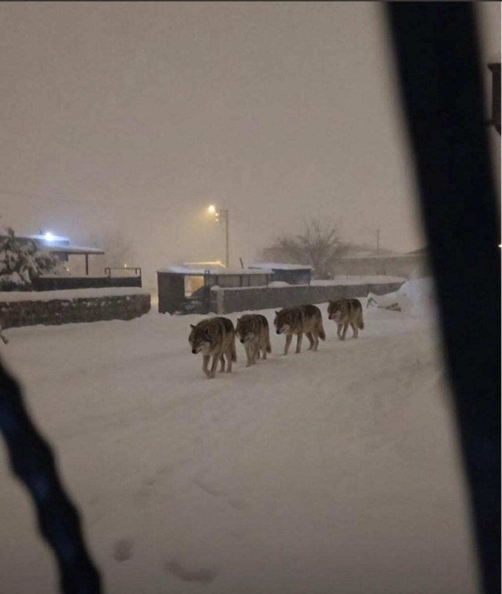 🔴 Hala Töreye İnanmayan Varmı? 

Ankara dahil bir çok şehrin merkezine kurt sürüsü geldi. Bu birlik ve beraberlik için bir mesajdı. Ve ne tesadüf ki tüm Türkiye, tüm Dünya'ya birlik ve beraberlik mesajını gösterdi.