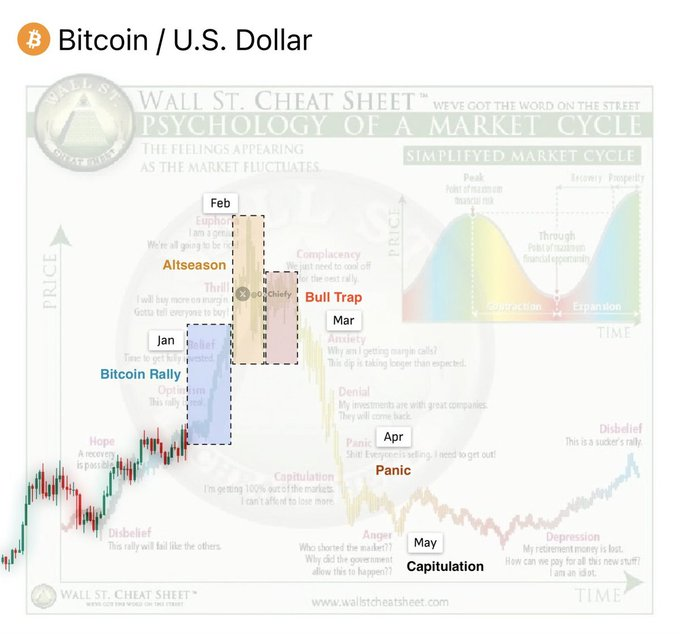 Discover tweet media