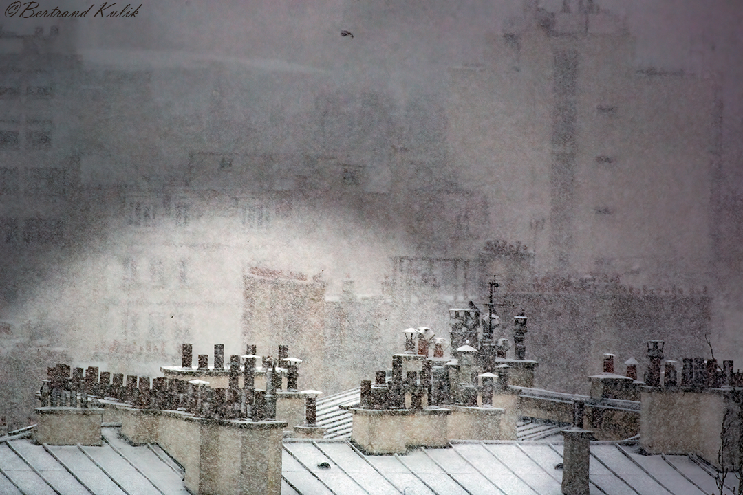 Kulik Bertrand tweet media