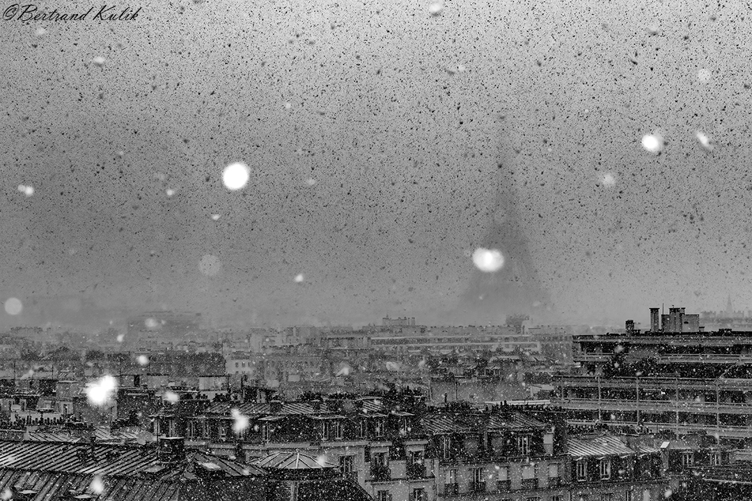 Kulik Bertrand tweet media