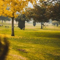 BASF Better Turf UK tweet media