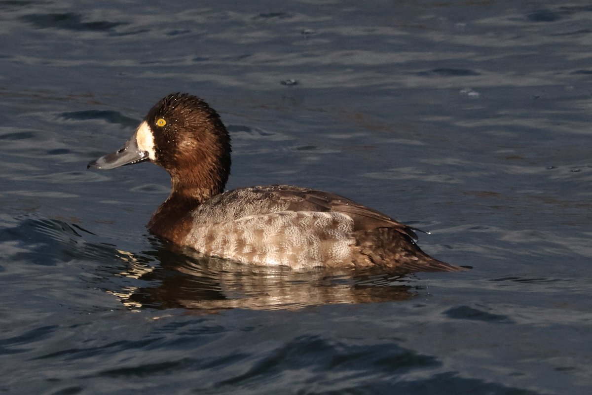 Tim - in my own world. tweet media