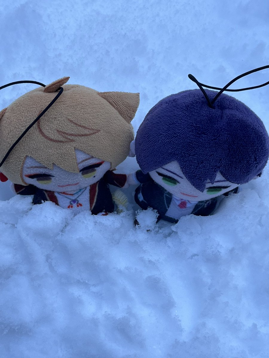 イチ (@Ozp9U7ItnzQot1a) / Posts / X