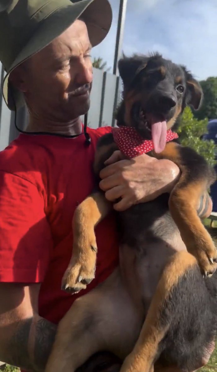<a href="/NiallHarbison/">Niall Harbison</a> This is wonderful news!🎊

I’m so happy for Stormzy &amp; for the family who will be adopting him!🤗

I love that he will be staying local to you &amp; Happy Doggo &amp; that we might get extra updates on him, in the future &amp; makes it a little easier to say goodbye!❤️

Here’s to a great