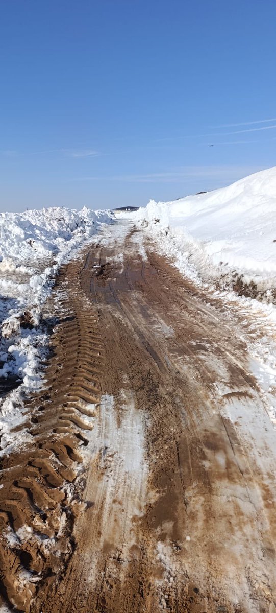 Ekiplerimiz Tuzlama Çalışmalarını Sürdürüyor

❄️ Etkisini sürdüren kar yağışı sonrası oluşan buzlanmaya karşı belediyemize bağlı ekipler, sahadaki çalışmalarını aralıksız sürdürüyor. Bu kapsamda ekipler; okullar, sağlık ocakları ve ibadethanelerin yollarında tuzlama çalışmaları