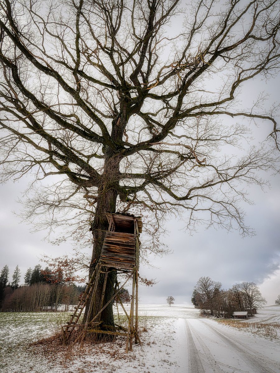 Będzie długa nitka : nowelizacja Prawa łowieckiego, czyli głos społeczeństwa ma znaczenie! Gorąco zachęcam do udziału w konsultacjach publicznych projektu nowelizacji ustawy Prawo łowieckie, które trwać będą do 17 tycznia. Jak wyrazić swoją opinię i czego dotyczy projekt? ⤵️
